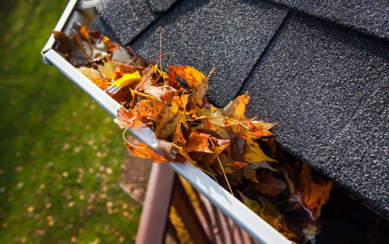Comprehensive Gutter Cleaning in Fourways