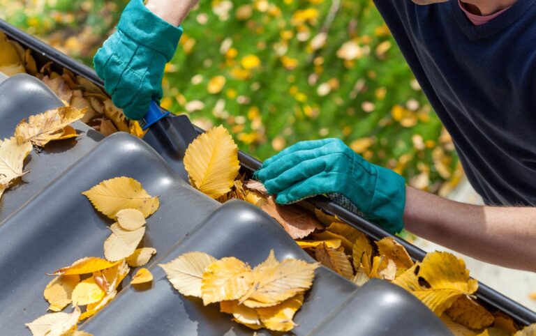 Gutter Cleaning in Sandton | Protect Your Home with Clean Gutters