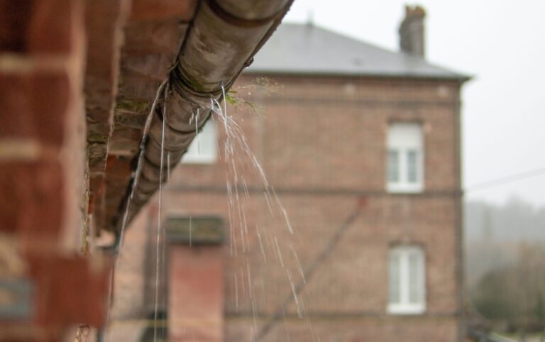 Comprehensive Gutter Maintenance in Randburg