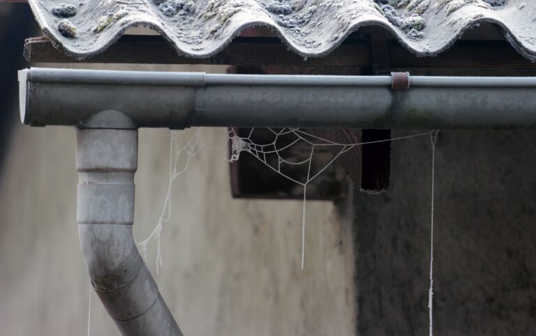 Professional Gutter Maintenance in Wilropark