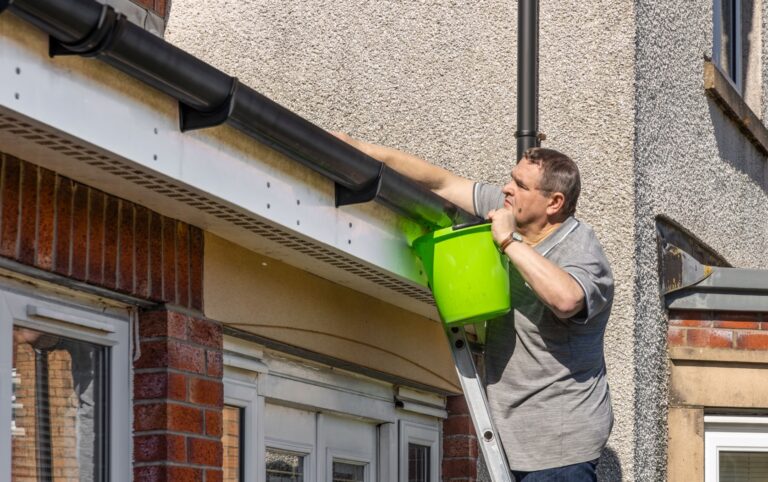 Efficient Gutter Cleaning Near Me